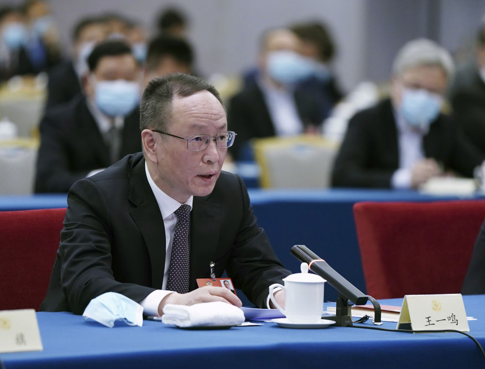 5月23日，全國政協(xié)委員王一鳴在經(jīng)濟界聯(lián)組會上發(fā)言。新華社記者　謝環(huán)馳　攝